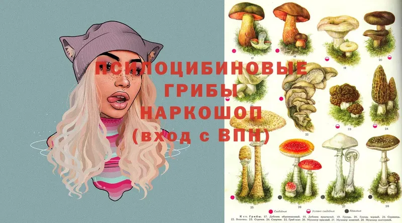 Галлюциногенные грибы MAGIC MUSHROOMS  Рославль 